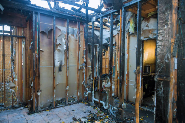 Professional Fire Damage Repair technician working in Holiday City South, NJ
